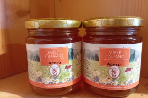 Miele italiano di Acero